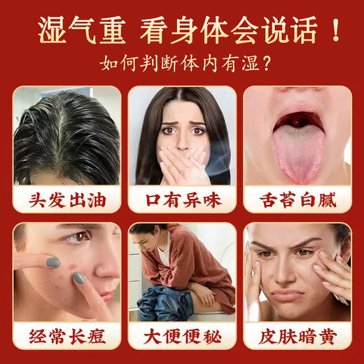 纯诚堂茯湿膏纯成堂家伏湿膏养生膏纯城堂伏诗糕伏诗膏官方旗舰店 商品图1