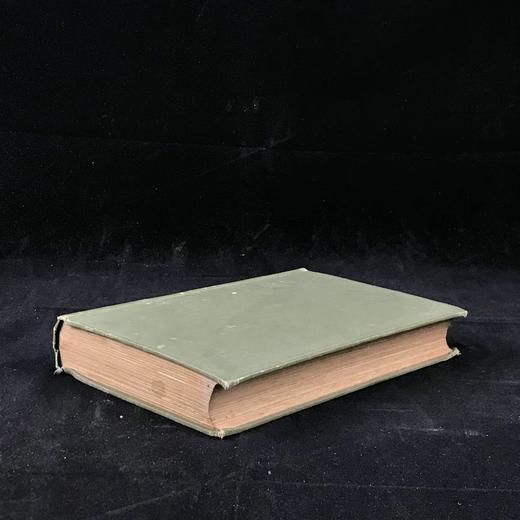 1925年 安德鲁·朗格《橄榄绿童话书》 8幅彩色与大量黑白插图 漆布精装32开 商品图1