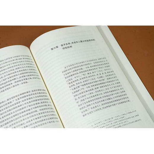 家庭关系传承与变革中的民法问题研究 朱晓峰著 法律出版社 商品图4