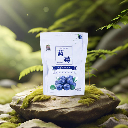 野生蓝莓果干 2袋（100g/袋） 商品图5