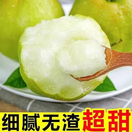 【分仓直发包邮】玉露香梨3斤（5-6枚） 商品图1