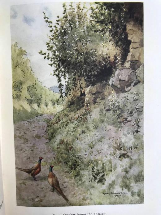 1926年 E.V.卢卡斯汇编 童心诗集 配多幅彩色插图 漆布精装32开 商品图10