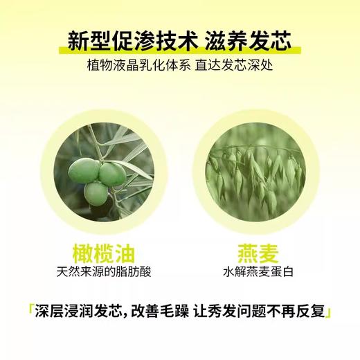 超级种子黑灵芝免洗柔顺乳顺200ml（250132） 商品图4