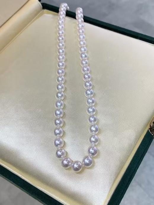 7mm-8mm akoya项链 商品图3