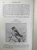 1902年 英国鸟类图集 8幅彩色108幅黑白插图 漆布精装32开 商品缩略图12