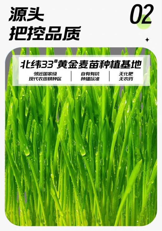 仁和益生元青汁粉 商品图2