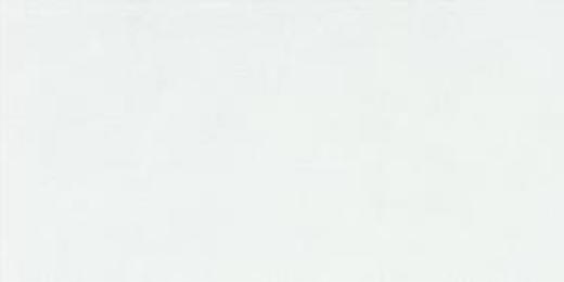 CAT-WP12682 600*1200mm 哑面白色系布纹瓷砖 商品图0