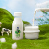 【快递到家-低温】极致有机鲜牛奶240ml*5 商品缩略图7