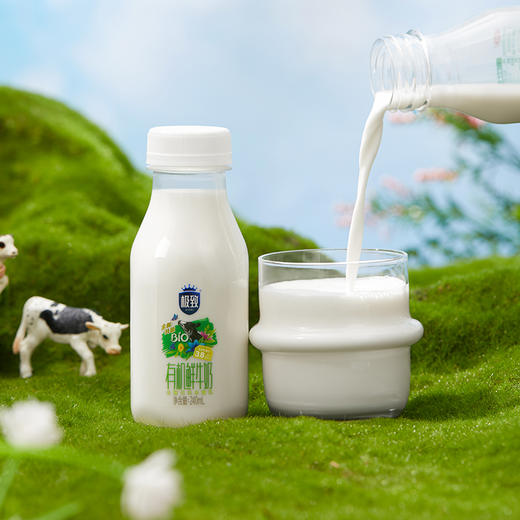 【快递到家-低温】极致有机鲜牛奶240ml*5 商品图7