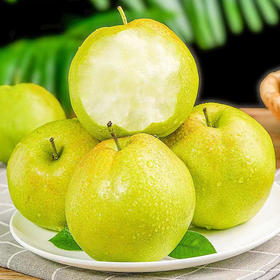 【分仓直发包邮】玉露香梨3斤（5-6枚）