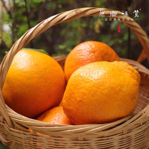 眉山生态耙耙柑（基地直发-京东包邮）｜5斤/箱，8斤/箱，来自四川眉山，生产者：黄琼【合作生产，公平贸易】 商品图5