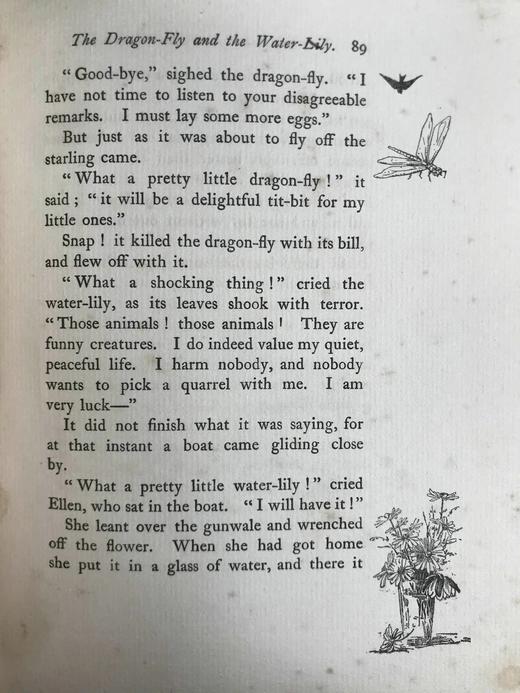 1908年 卡尔·爱华尔德自然故事集 杜拉克等8幅彩色与大量黑白文件插图 漆布精装32开 商品图12