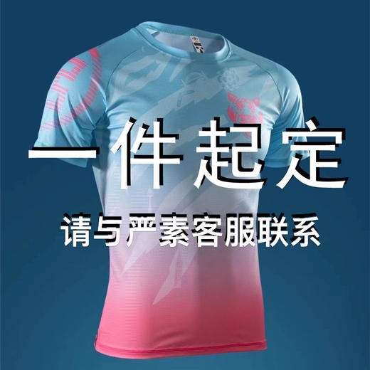 一件起定,个性化定制—双层拉链外套，快干，速干，严素态度，严素订制 商品图1