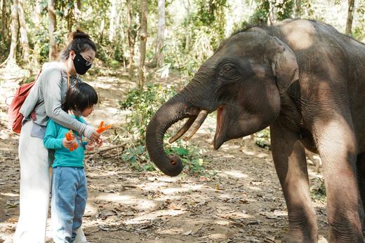 【无锡专拍】【联合发班】5星好评爆款！奢玩西双版纳之旅，比东南亚更绝的人间宝藏，过「高奢」版向往生活 商品图2