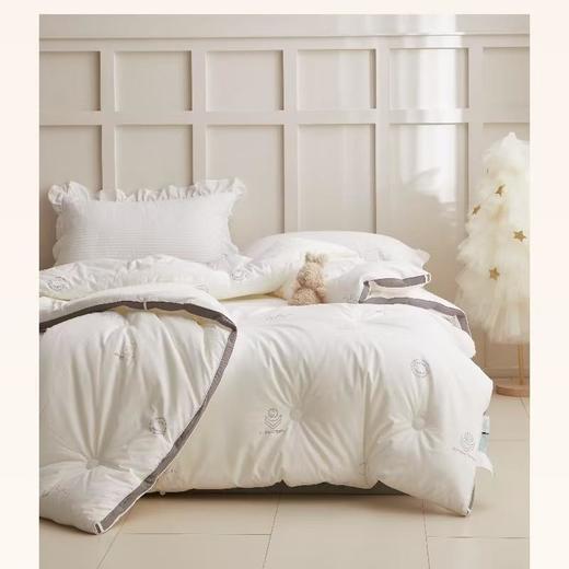 玖加壹螨清清春秋被 200*230cm 1250g/床 商品图0