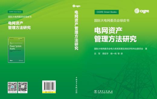 国际大电网委员会绿皮书   电网资产管理方法研究 商品图2