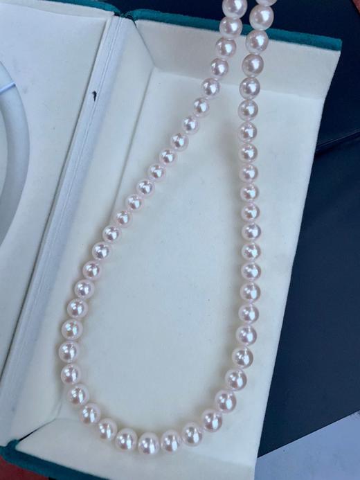 8mm-9mm akoya项链 商品图2