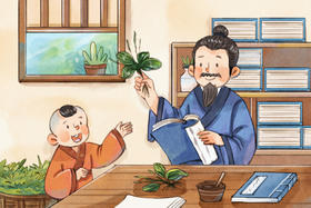 每天来2颗，温脾化湿浊，开胃行气滞 