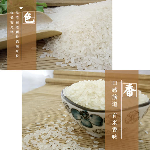有机东北长粒香大米 2.5公斤 商品图3