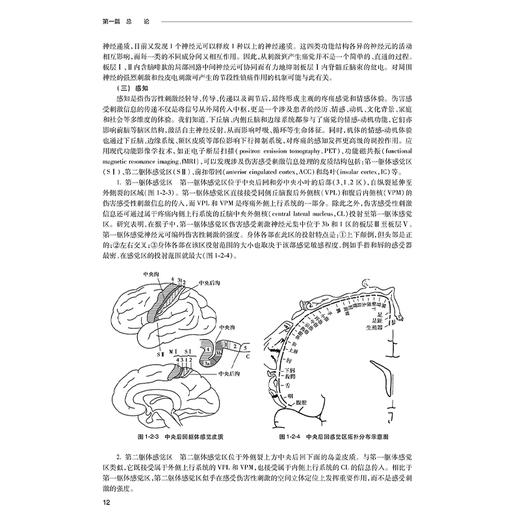 实用疼痛学 第2二版 刘延青 主编 新版外科疼痛学慢性疼痛诊疗工具书 发病机制诊疗方法微创介入治疗 人民卫生出版社9787117362665 商品图4