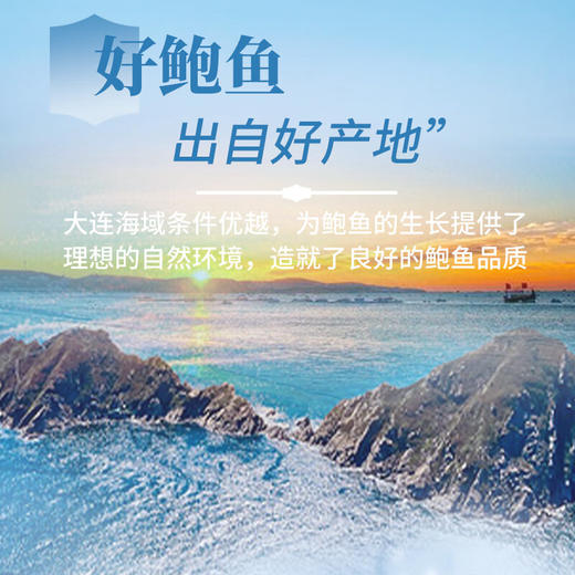 金唐干鲍鱼肉150g 商品图1