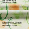 【粉丝专属】allblu幼岚【宣纸速干】儿童T恤女童男童25春季新款透气满印短袖 商品缩略图3