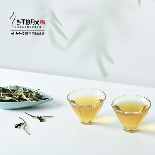 【官方正品】当年的月光·怡品老树白茶90g散茶年货大叶种白茶送礼自用口粮茶云南白药天颐茶品 商品图3
