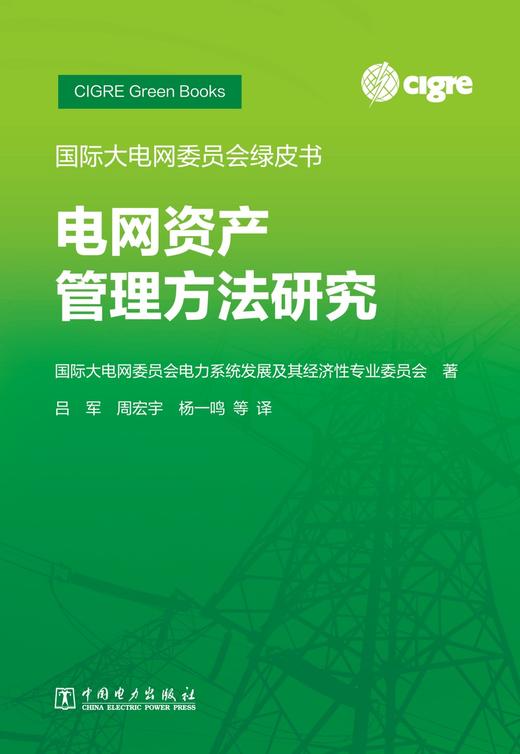 国际大电网委员会绿皮书   电网资产管理方法研究 商品图1