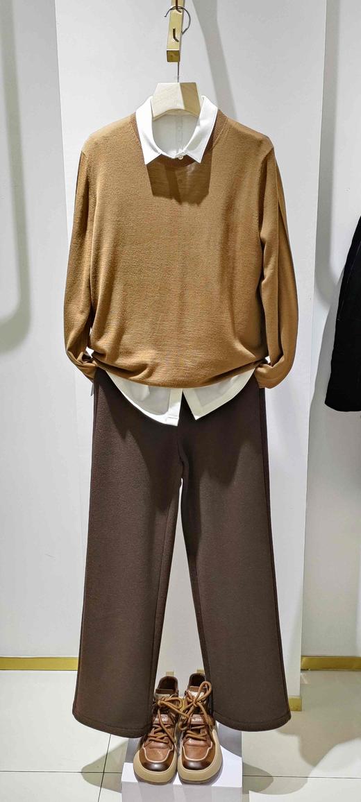 487313小尖领弹力衬衫 商品图6