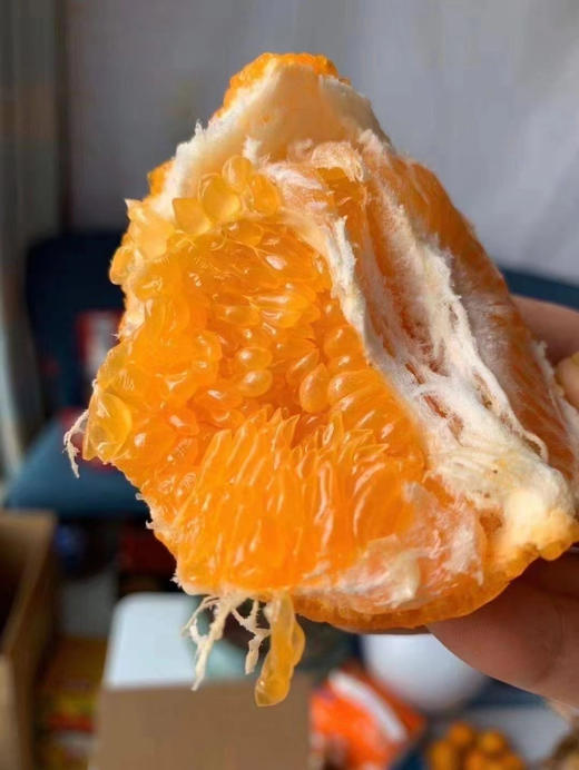 春见耙耙柑，浓郁好吃 商品图1
