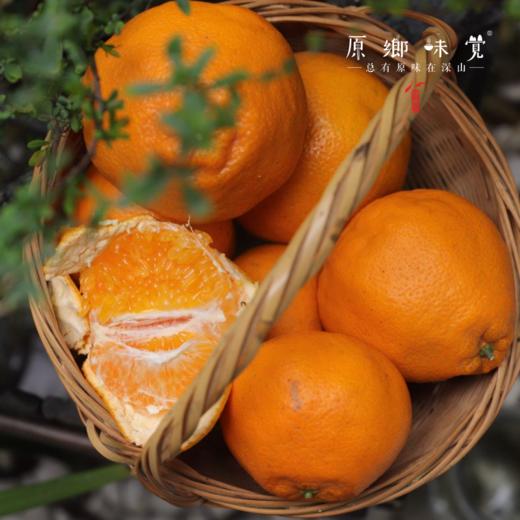 眉山生态耙耙柑（基地直发-京东包邮）｜5斤/箱，8斤/箱，来自四川眉山，生产者：黄琼【合作生产，公平贸易】 商品图2
