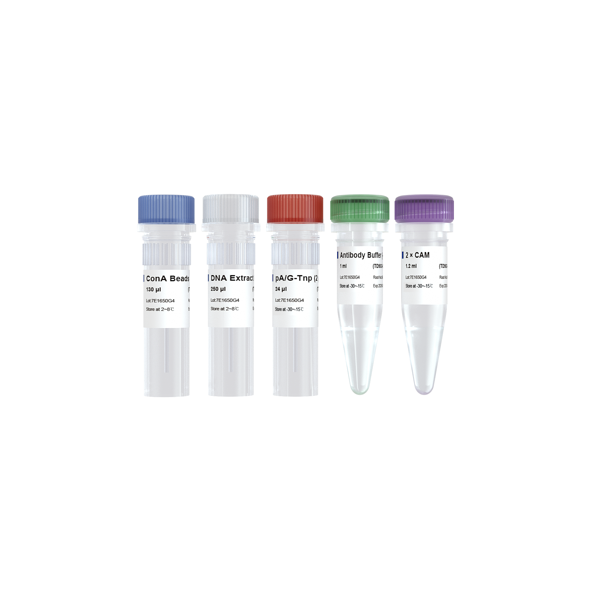 Hyperactive Universal CUT&Tag Assay Kit for Illumina - 诺唯赞