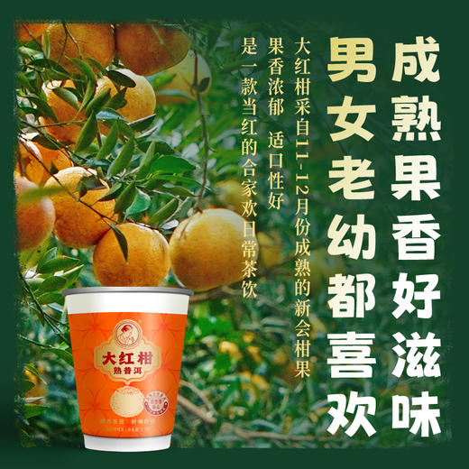 澜沧古茶茶妈妈杯装茶 大红柑熟普洱*1筒（6杯） 商品图1