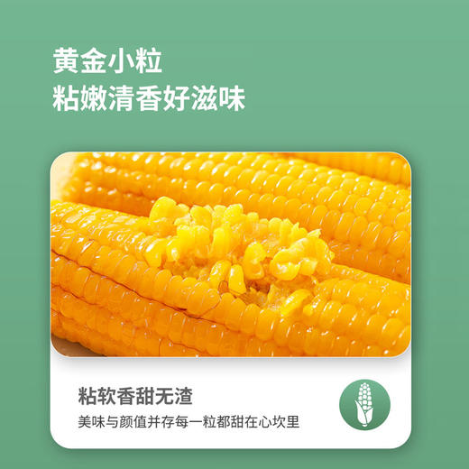 晓莺有机甜糯玉米220g*10穗/盒【XPTX】 商品图4