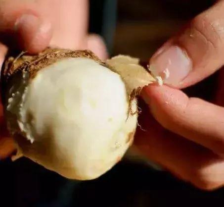 8大超值新鲜应季有机蔬菜！农场直达餐桌！营养健康又美味！ 商品图7