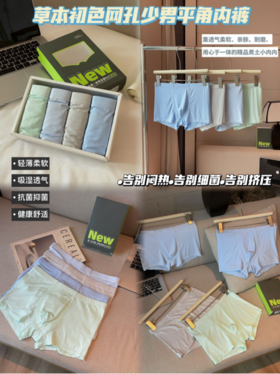 🏆【草本初色 网孔少男平角内裤4条装9532款 😲】 ✅九宫格网孔设计，高感透气，😉穿起来裸感舒适，双层网孔内裆设计，🉑透气不闷热，呵护肌肤；