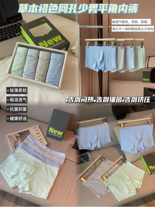 🏆【草本初色 网孔少男平角内裤4条装9532款 😲】 ✅九宫格网孔设计，高感透气，😉穿起来裸感舒适，双层网孔内裆设计，🉑透气不闷热，呵护肌肤； 商品图0
