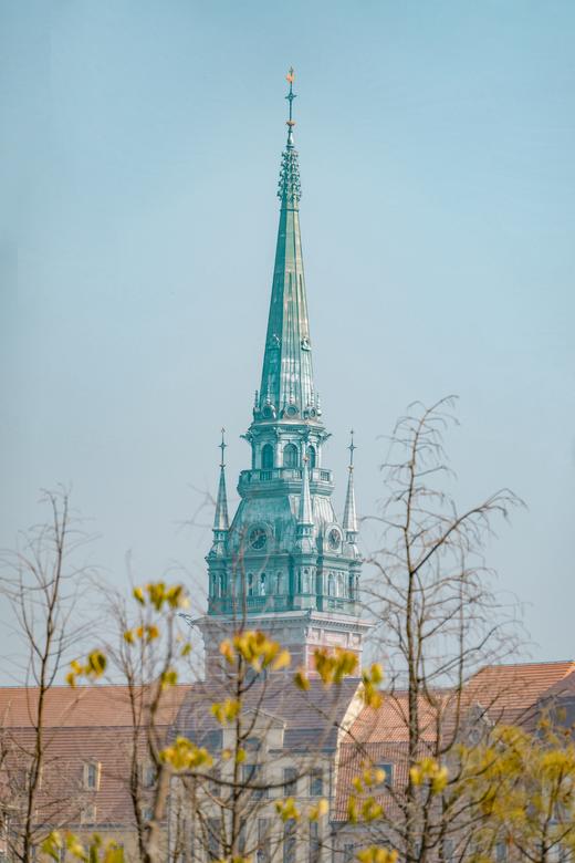 3月5日【东莞】松山湖黄花风铃木·外观华为欧洲小镇 一天摄影 商品图6