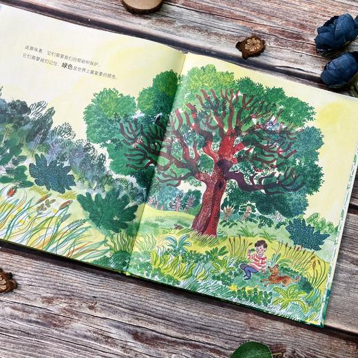 绿色生命：地球上的植物故事|绿色地球图书奖得主作品；从一棵树的光合作用追溯到数十亿年的植物演化史 商品图6