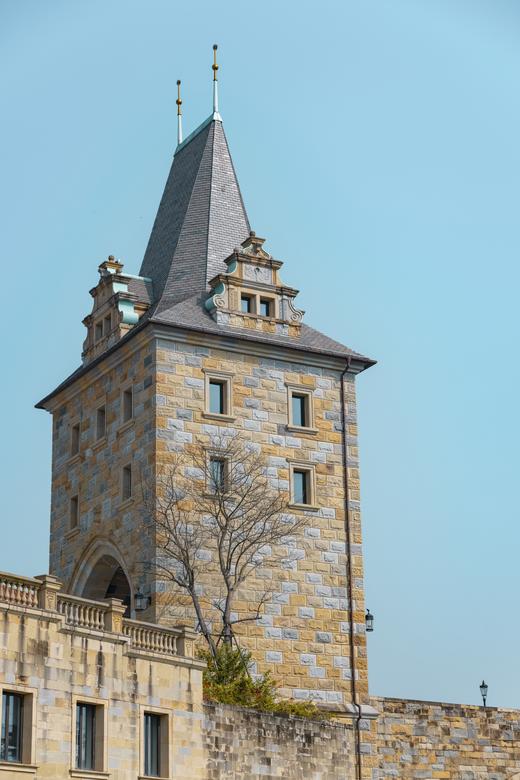 3月5日【东莞】松山湖黄花风铃木·外观华为欧洲小镇 一天摄影 商品图7