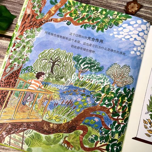 绿色生命：地球上的植物故事|绿色地球图书奖得主作品；从一棵树的光合作用追溯到数十亿年的植物演化史 商品图9