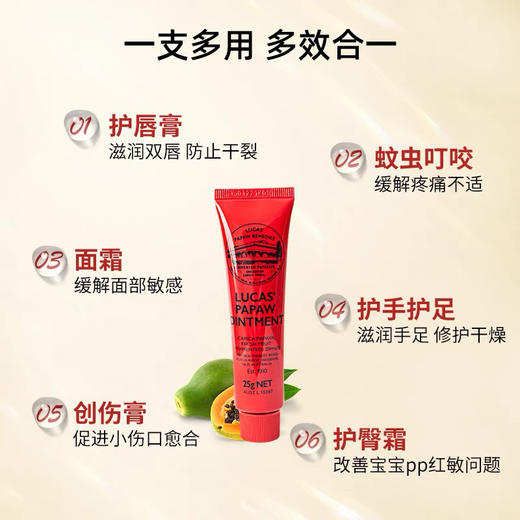 【岁末秒杀】澳大利亚万能木瓜膏25g 商品图1