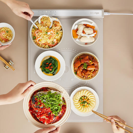 小熊暖菜板BWB—N04Q1 商品图1