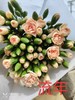 多头康乃馨-流年 商品缩略图0