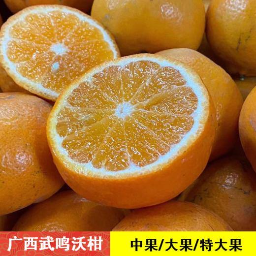[最农公社]广西武鸣沃柑5斤/9斤绿色香甜 商品图0