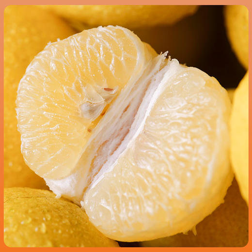 贵州黄金贡柚 5斤起 顺丰包邮 苗家圆圆【零下地区慎拍，冻坏不做售后】 商品图1