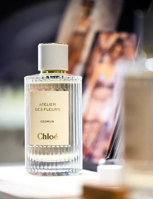 烟雨茉莉 商品图2