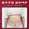 【十二味脾胃贴】 商品缩略图4