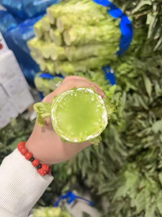 周五取货：【红叶莴苣】一份3斤左右，脆嫩爽口，香气更加浓郁！ 商品图5