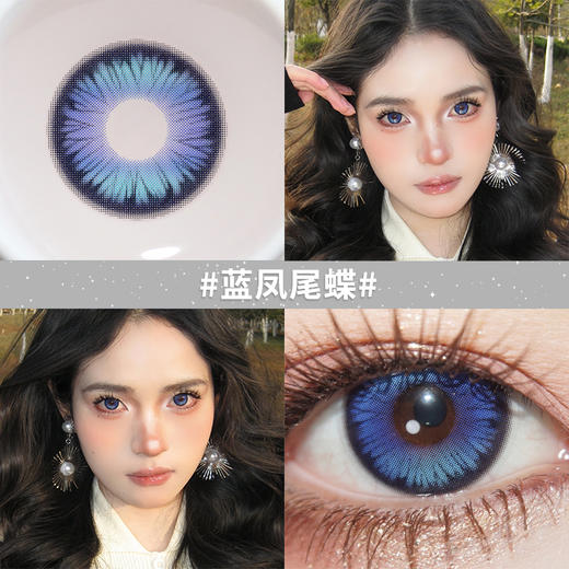 新品【蓝凤尾蝶】14.5大直径半年抛美瞳1片装 商品图1